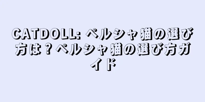 CATDOLL: ペルシャ猫の選び方は？ペルシャ猫の選び方ガイド