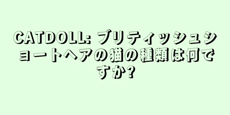 CATDOLL: ブリティッシュショートヘアの猫の種類は何ですか?