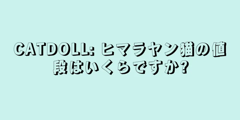 CATDOLL: ヒマラヤン猫の値段はいくらですか?