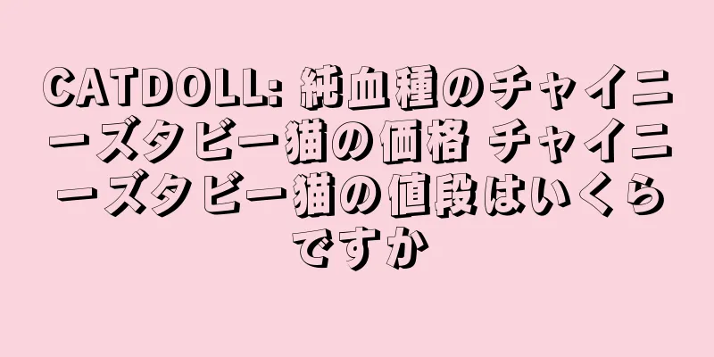 CATDOLL: 純血種のチャイニーズタビー猫の価格 チャイニーズタビー猫の値段はいくらですか