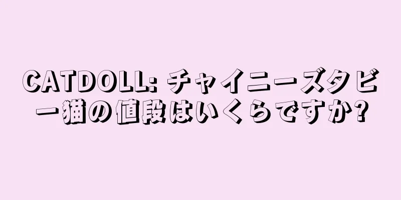 CATDOLL: チャイニーズタビー猫の値段はいくらですか?