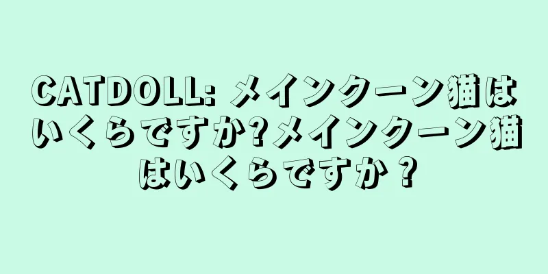 CATDOLL: メインクーン猫はいくらですか?メインクーン猫はいくらですか？