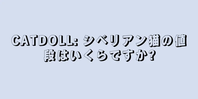 CATDOLL: シベリアン猫の値段はいくらですか?
