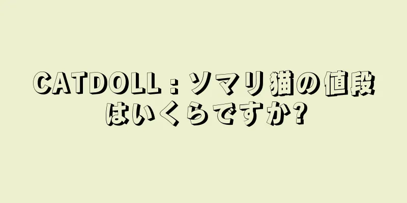 CATDOLL : ソマリ猫の値段はいくらですか?
