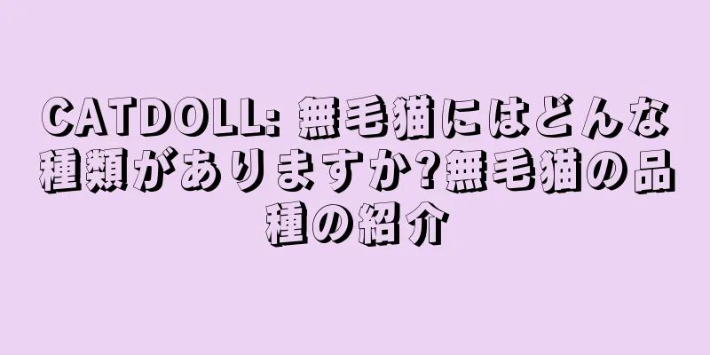 CATDOLL: 無毛猫にはどんな種類がありますか?無毛猫の品種の紹介