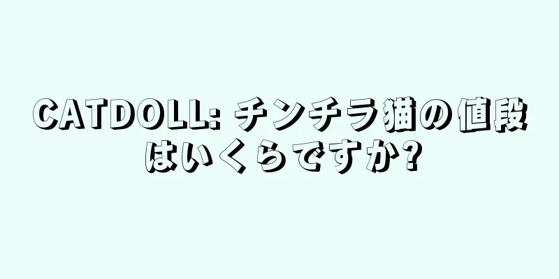CATDOLL: チンチラ猫の値段はいくらですか?