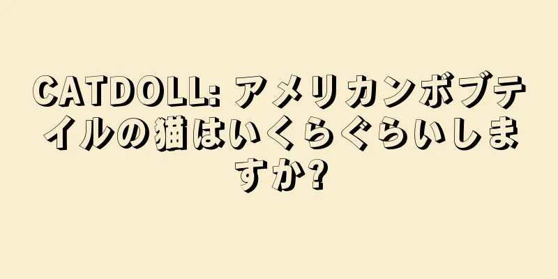 CATDOLL: アメリカンボブテイルの猫はいくらぐらいしますか?