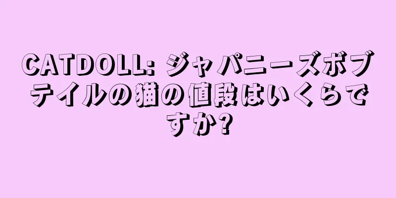 CATDOLL: ジャパニーズボブテイルの猫の値段はいくらですか?