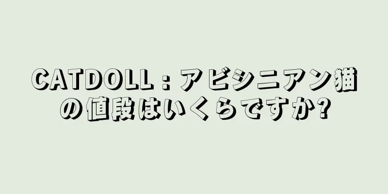 CATDOLL : アビシニアン猫の値段はいくらですか?