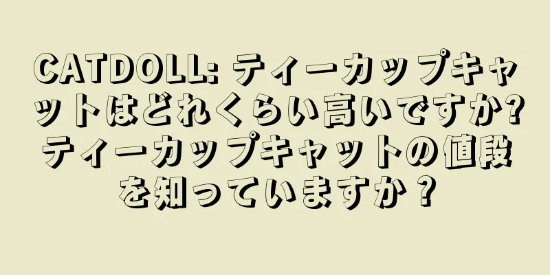 CATDOLL: ティーカップキャットはどれくらい高いですか?ティーカップキャットの値段を知っていますか？