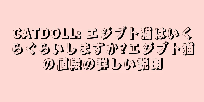 CATDOLL: エジプト猫はいくらぐらいしますか?エジプト猫の値段の詳しい説明