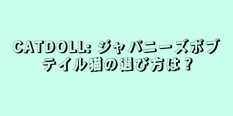 CATDOLL: ジャパニーズボブテイル猫の選び方は？