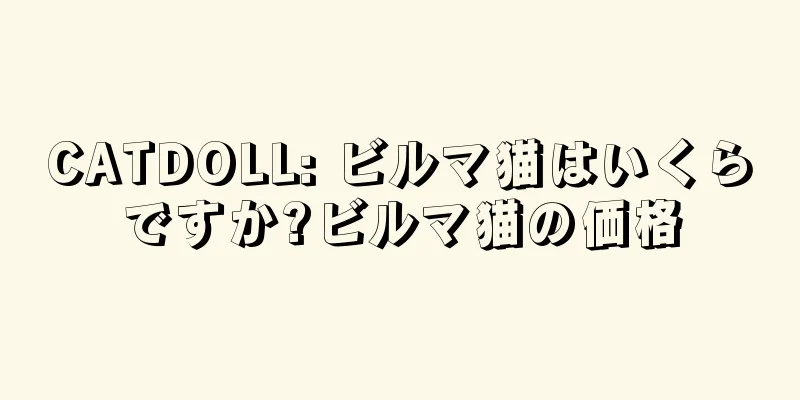 CATDOLL: ビルマ猫はいくらですか?ビルマ猫の価格