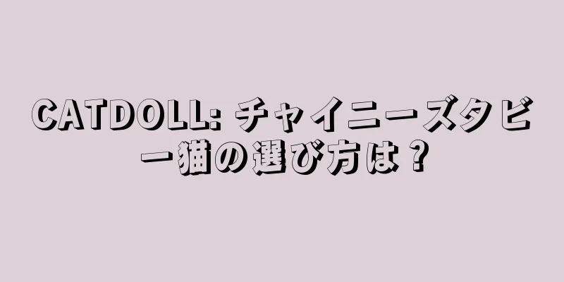 CATDOLL: チャイニーズタビー猫の選び方は？