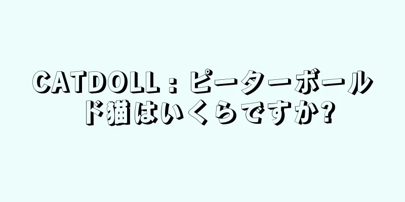 CATDOLL : ピーターボールド猫はいくらですか?
