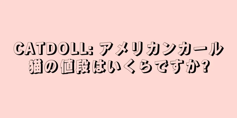 CATDOLL: アメリカンカール猫の値段はいくらですか?