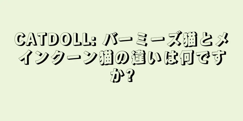 CATDOLL: バーミーズ猫とメインクーン猫の違いは何ですか?