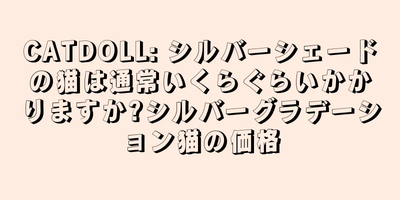 CATDOLL: シルバーシェードの猫は通常いくらぐらいかかりますか?シルバーグラデーション猫の価格