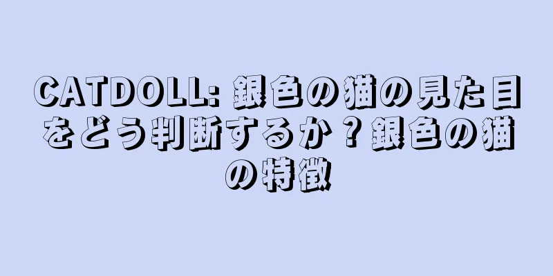 CATDOLL: 銀色の猫の見た目をどう判断するか？銀色の猫の特徴