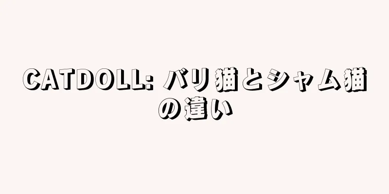 CATDOLL: バリ猫とシャム猫の違い