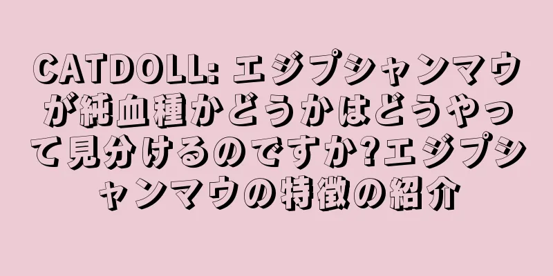 CATDOLL: エジプシャンマウが純血種かどうかはどうやって見分けるのですか?エジプシャンマウの特徴の紹介