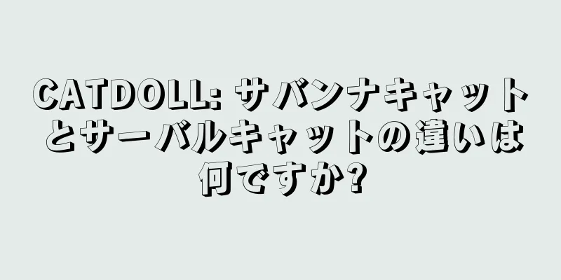 CATDOLL: サバンナキャットとサーバルキャットの違いは何ですか?