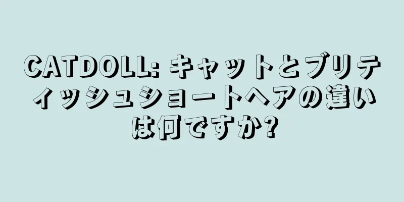 CATDOLL: キャットとブリティッシュショートヘアの違いは何ですか?