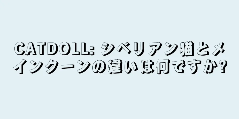 CATDOLL: シベリアン猫とメインクーンの違いは何ですか?