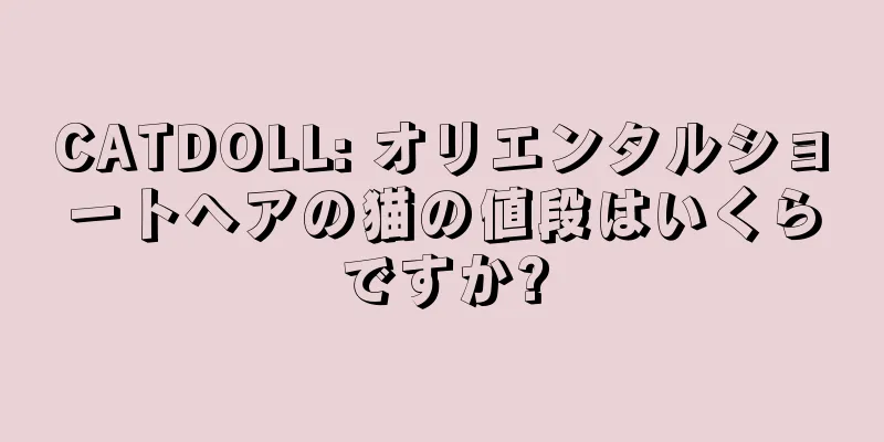 CATDOLL: オリエンタルショートヘアの猫の値段はいくらですか?