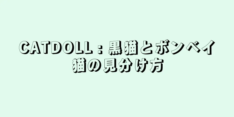 CATDOLL : 黒猫とボンベイ猫の見分け方