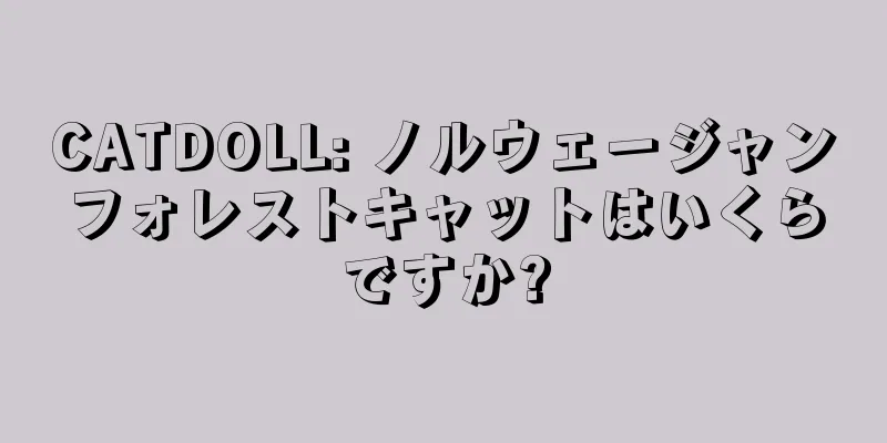 CATDOLL: ノルウェージャンフォレストキャットはいくらですか?