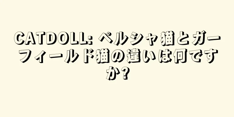 CATDOLL: ペルシャ猫とガーフィールド猫の違いは何ですか?