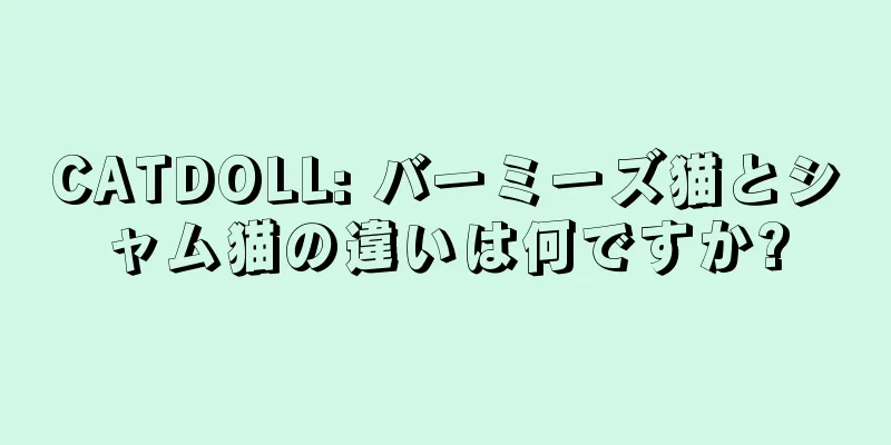 CATDOLL: バーミーズ猫とシャム猫の違いは何ですか?