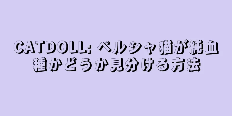 CATDOLL: ペルシャ猫が純血種かどうか見分ける方法