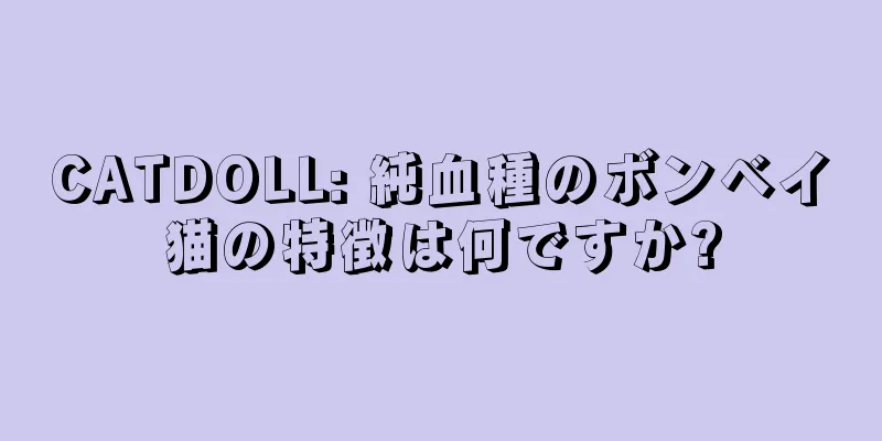 CATDOLL: 純血種のボンベイ猫の特徴は何ですか?