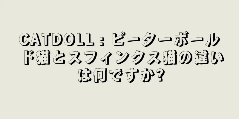 CATDOLL : ピーターボールド猫とスフィンクス猫の違いは何ですか?