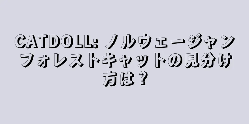 CATDOLL: ノルウェージャンフォレストキャットの見分け方は？
