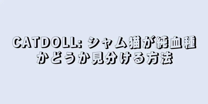 CATDOLL: シャム猫が純血種かどうか見分ける方法