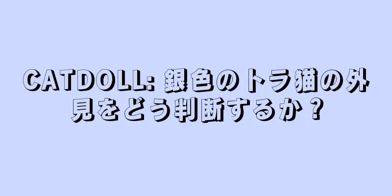 CATDOLL: 銀色のトラ猫の外見をどう判断するか？