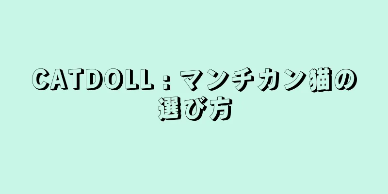 CATDOLL : マンチカン猫の選び方
