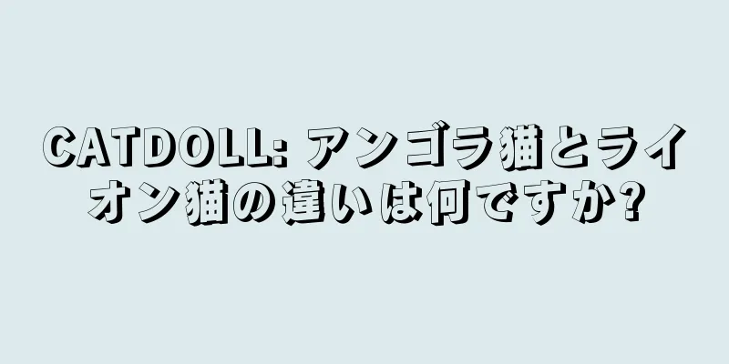 CATDOLL: アンゴラ猫とライオン猫の違いは何ですか?