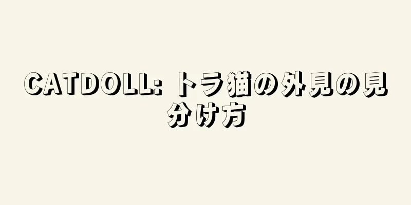 CATDOLL: トラ猫の外見の見分け方