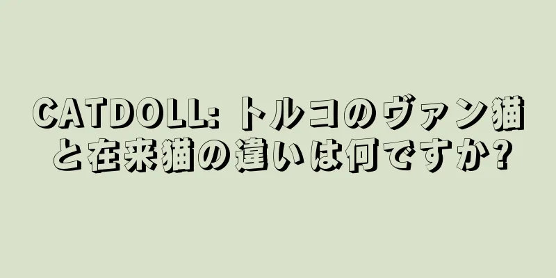 CATDOLL: トルコのヴァン猫と在来猫の違いは何ですか?