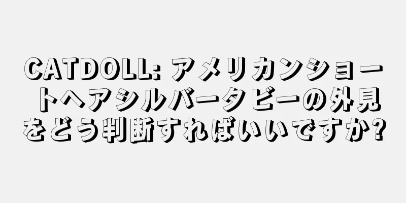 CATDOLL: アメリカンショートヘアシルバータビーの外見をどう判断すればいいですか?