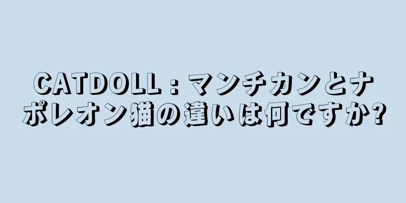 CATDOLL : マンチカンとナポレオン猫の違いは何ですか?