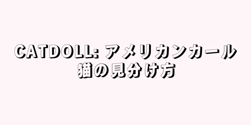 CATDOLL: アメリカンカール猫の見分け方