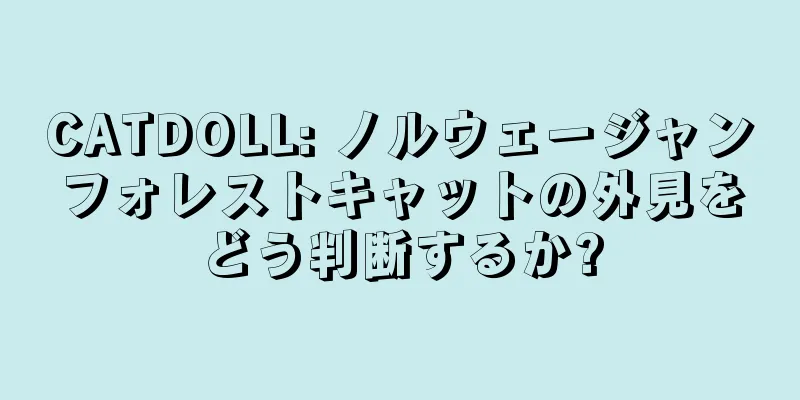 CATDOLL: ノルウェージャンフォレストキャットの外見をどう判断するか?