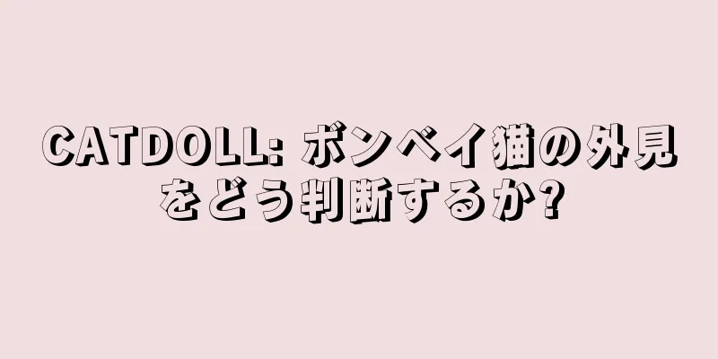 CATDOLL: ボンベイ猫の外見をどう判断するか?