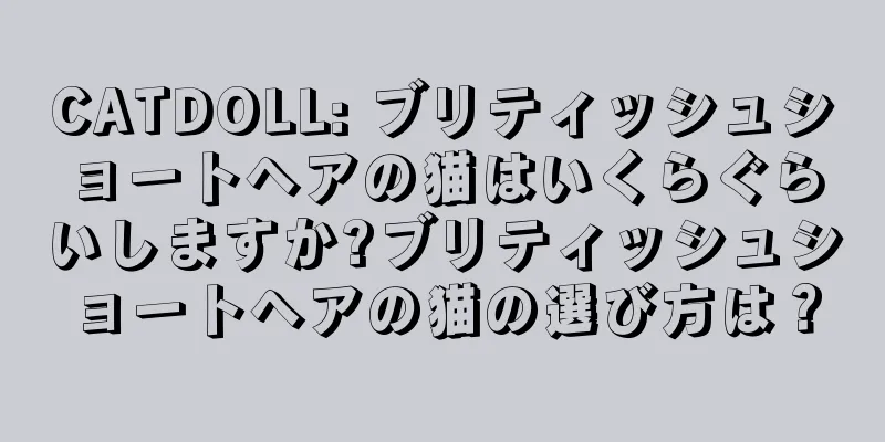 CATDOLL: ブリティッシュショートヘアの猫はいくらぐらいしますか?ブリティッシュショートヘアの猫の選び方は？