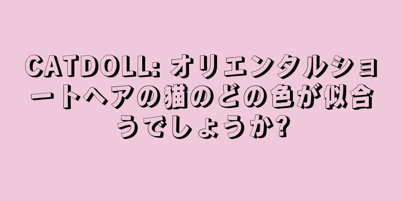 CATDOLL: オリエンタルショートヘアの猫のどの色が似合うでしょうか?
